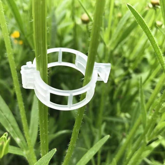 100Pcs White Secured Plastic Plant Clip, Plant Clips for Climbing Plants,Plant Clips for Climbing Plants,Plant Support Garden Clips Plant Support Structures