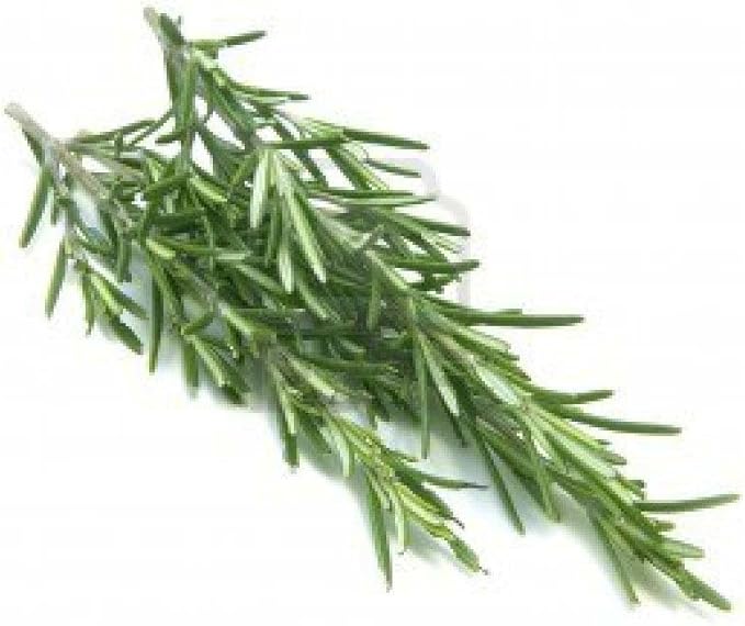 Rosemary, Herb Seed, Heirloom, 20+ Seeds, Healthy and Tasty Herb. The Germination Rate for Rosemary can be Low, Perhaps 30 to 50% so, Plant a Few More Seeds Than You Would Normally do.