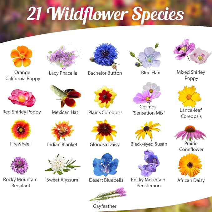 Drought Resistant Wildflower Seeds - 1oz, Open-Pollinated Bulk Flower Seed Mix for Beautiful Perennial, Annual Garden Flowers - No Fillers - 1 oz Packet