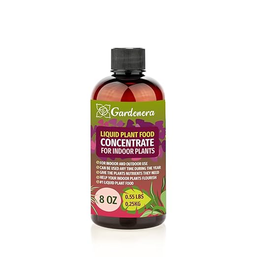 Premium Plant Growth Superfood for All Plants with 18 Essential Vitamins & Minerals - Organic Plant Food Fertilizer - Micro-Fungi and Bio-Organisms for All-Purpose Care - 8 OZ