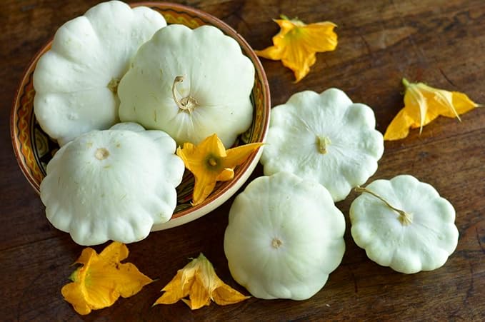 Seeds White Patty Pan Zucchini Squash Heirloom Vegetable for Planting Non GMO