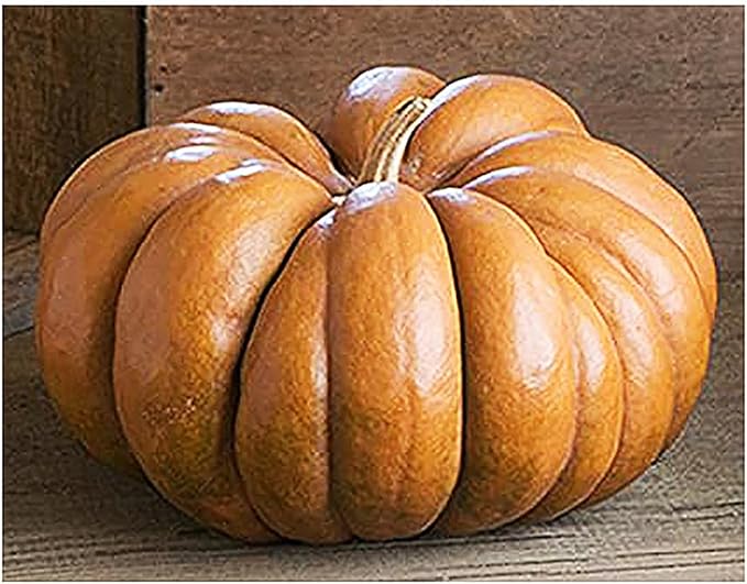 Fairytale Pumpkin Seeds - 10 Seeds - One of The Most Interesting and Decorative Pumpkins as Well as Delicious