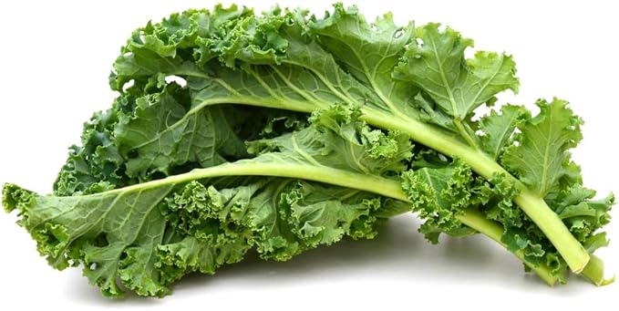 Kale Seeds to Plant | 100+ Seeds | Dwarf Blue Kale Seeds for Planting | Grow Your Own Food