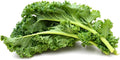 Kale Seeds to Plant | 100+ Seeds | Dwarf Blue Kale Seeds for Planting | Grow Your Own Food