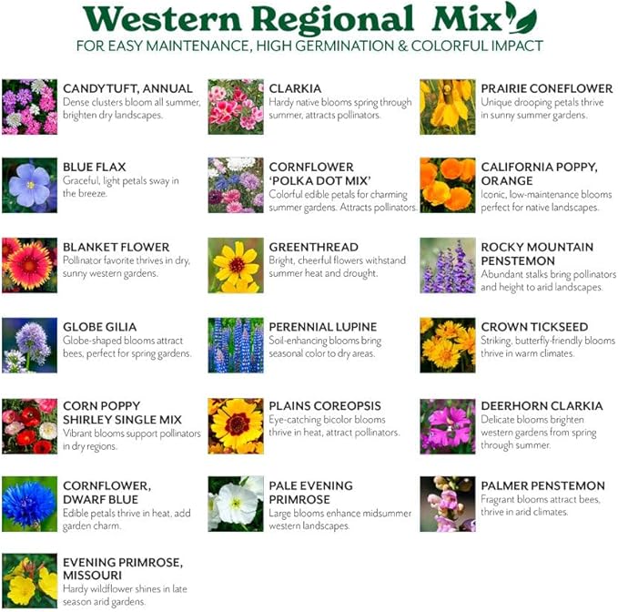 Grow Your Own Vibrant Annual and Perennial Wildflower Garden Seeds Mixture, Varieties for Pollinators and Spring Gardens - Western Regional Mix, 1/4 lb