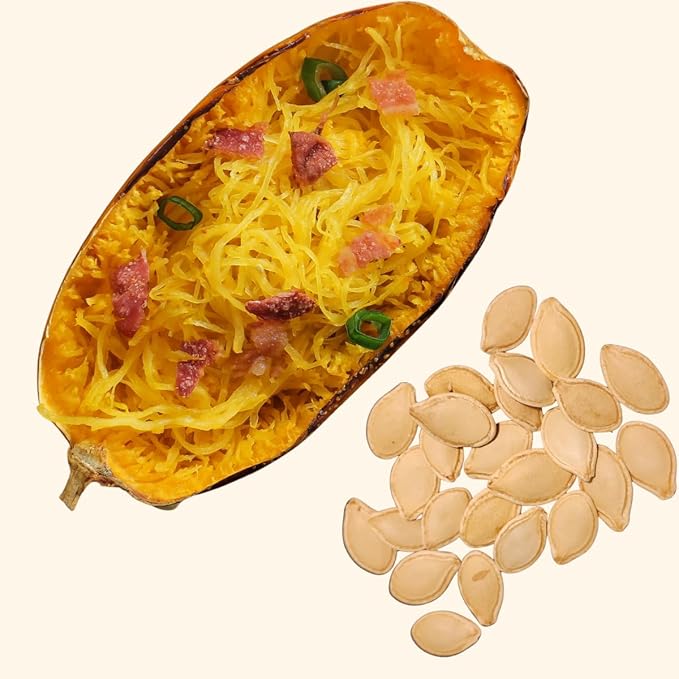 Smoke Camp Crafts Organic Spaghetti Squash Seeds (Cucurbita Pepo) 30 Seeds (4 Grams) - Vegetable Spaghetti Winter Squash