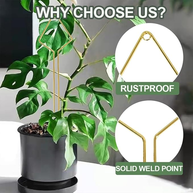 Plant Trellis Indoor - 4 Pack Small Hoop Trellis Mini for Climbing Plants Indoor, 15.7 Inch Indoor Plant Trellis with Different Patterns, Vine Plant Support for Flower Pothos (Gold)