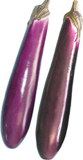Eggplant Seeds - Purple Shine - Hybrid - 500 Mg Packet ~112 Seeds - Non-GMO, F1 Hybrid - Asian Garden Vegetable