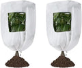 CMINGJ Plant Frost Protection Covers with Viewing Window, 47.2" x 70.8", 2.06oz/yd², Reusable Drawstring Tree Cover, Winter Tree Blanket with Zipper for Outdoor Plants, Frost Protection Cloths(2 Pack)
