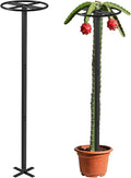 Adjustable Dragon Fruit Trellis, Heavy Duty Metal Plant Support Frame for Climbing Plants, Cactus, Roses & Vines, Rust Proof Durable Vertical Garden Support for Indoor & Outdoor Potted Plants