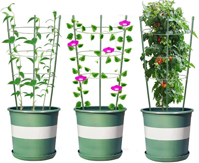 Plant Support Cages for Climbing Plant 20" Flower Cherry Tomato cage with Stand Stakes and Stable Support Rings, 3 Pack with 12 Clips (20")