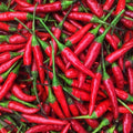 20 Thailand Bird's Eye Chili Pepper Seeds Hot Pepper Seeds