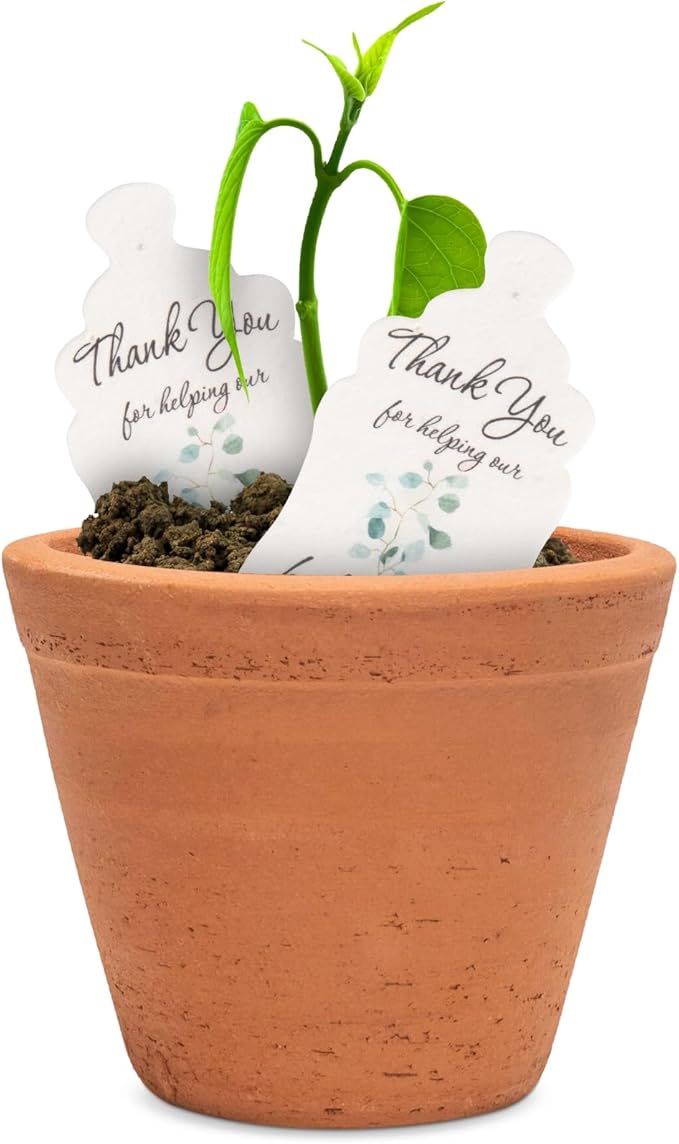 Bottle Shaped Seed Paper – 15Pcs Green Shower Favors for Guests with Wildflower Seeds, Writable & Plantable, Shower Favor Gifts for Guest