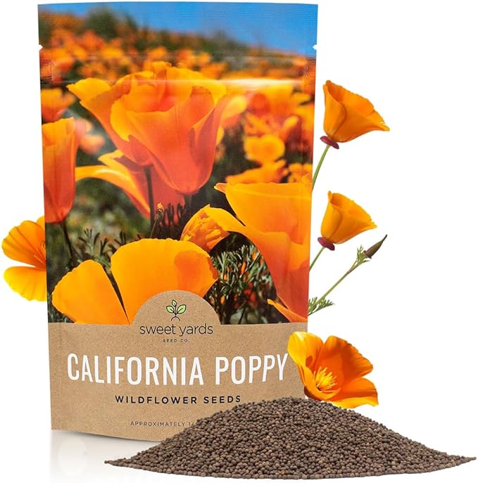 California Orange Poppy Wildflower Seeds - Bulk 1/4 Pound Bag - Over 80,000 Native Seeds - California State Flower!