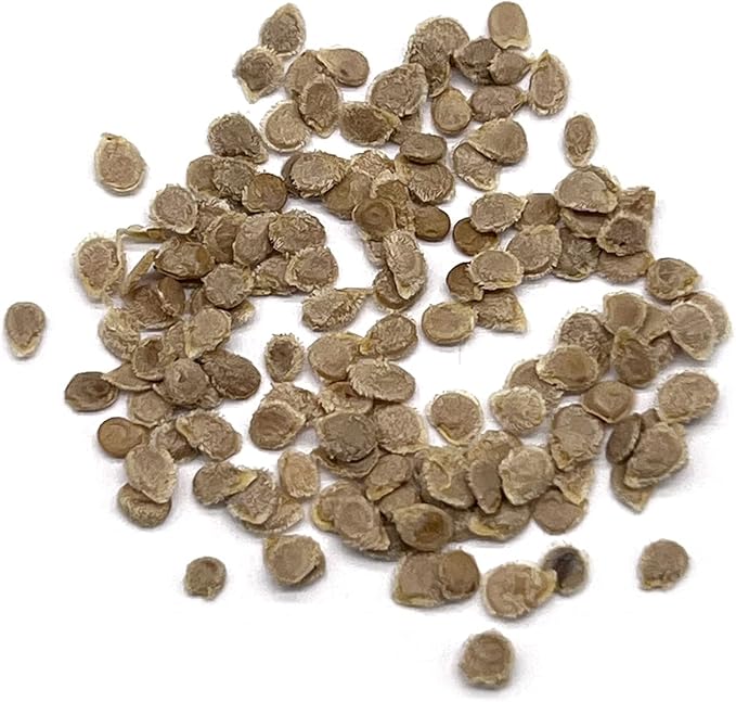 Organic Tomato Seeds (Roma) - Approx 75 Seeds - USDA Organic, Non-GMO, Open Pollinated, Heirloom, USA Origin