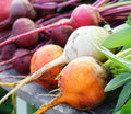 Rainbow Beet Seeds for Planting - Plant & Grow Heirloom Rainbow Beets in Home Outdoor Garden – Planting Instructions for Abundant Harvests – Great Gardening Gift, 5 Packets