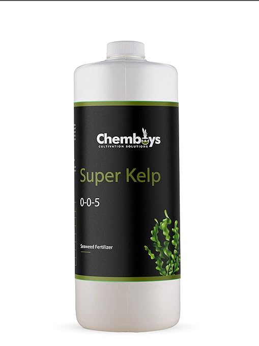 Chemboys Super Kelp Liquid Seaweed Fertilizer – Kelp Plant Food Supplement for Plant Growth Bloom & Yield Boost – Liquid Kelp Seaweed Concentrate Garden Fertilizer - 8 fl oz