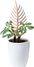Treleaf Bare™ Palmella™ – Customizable Wooden Palm Leaf Plant Trellis – Regular Size 12” Indoor Plant Support and Decorative Houseplant Stake for Potted Vines and Climbing Plants