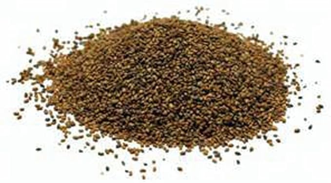 Alfalfa Sprouting Seed, Non GMO - 16 Oz -Country Creek LLC Brand - High Sprout Germination- Edible Seeds, Gardening, Hydroponics, Growing Salad Sprouts, Planting, Food Storage & More