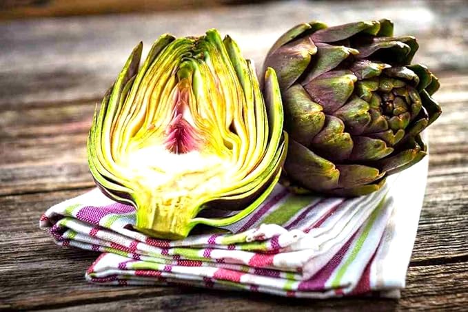 Artichoke Seeds 20 Seeds for Planting Non-GMO