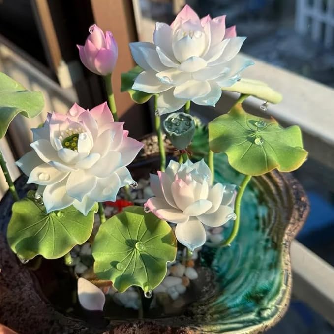 Mixed Bowl Lotus Seeds for Planting, 35 Water Lily Flower Plant Seed, Non-GMO Bowl Lotus Fresh Garden Seeds for Home Indoor Outdoor and Garden
