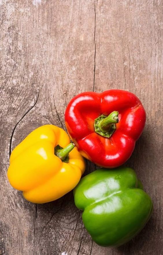 CEMEHA SEEDS - Seeds Sweet Bell Pepper Rainbow Mix Non GMO Vegetable for Planting