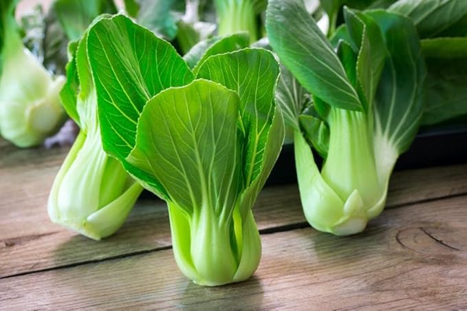 Seeds Bok Choy Chinese - Green Cabbage - Heirloom Vegetable - GMO Free