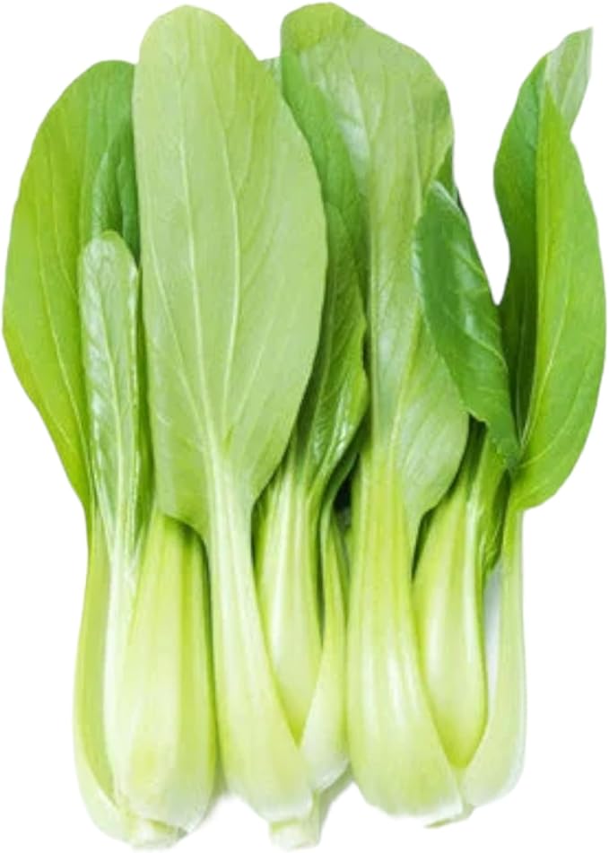 ZEshops All Year Round Organic Chinese Cabbage Seeds, 1000pcs, Non-GMO, High 95% Germination, Perfect for Every Season