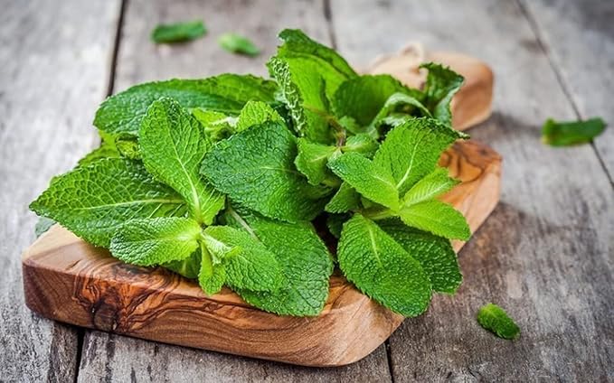 Seeds4planting - Seeds Mint (Peppermint&Spearmint) Non GMO Heirloom 1000 Seeds