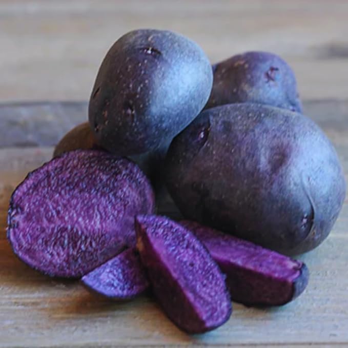 2 Lbs Purple Potato Tubers High Yielding for Outdoor Planting, Vegetables Potatoes Plants Bulbs Seeds, Heirloom Seed Potato Live Tuber