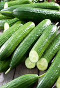 Seeds Cucumber Emelya - Open-Pollinated - Heirloom Vegetable - GMO Free