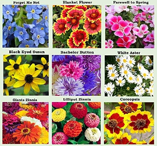 25 Heirloom Flower Seed Packets for Planting: 20+ Varieties Flower Seeds - Forget Me Not, Sunflower, Marigold, Zinnia Lilliput, Snapdragon, Hummingbird & Butterfly Wildflower Seeds and More