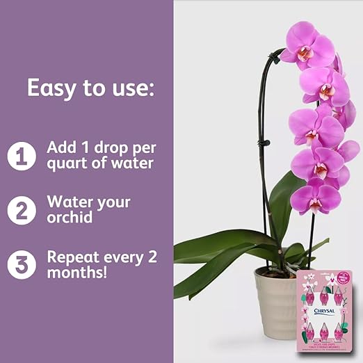 Chrysal Orchid Food Drops — Orchid Care — One Pack for a Year Supply — Concentrated Flower Food for All Species of Orchids — Ideal Florist Supplies — Outdoor and Indoor Plant Food (2 Pack)