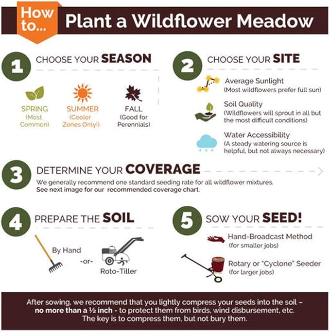 UtopiaSeeds Blue Wildflower Seed Mix - Attracts Hummingbirds and Butterflies - Easy to Grow