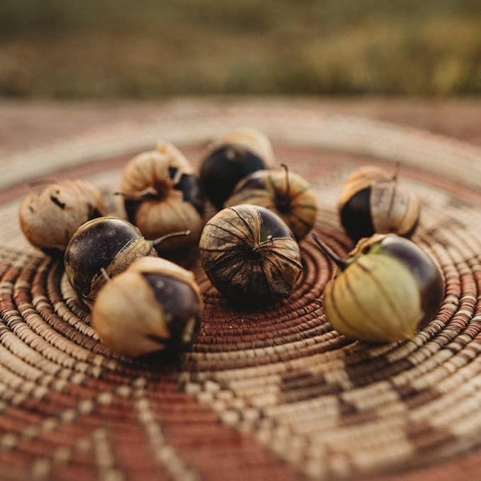 Purple Coban Tomatillo - 25 Seeds - Heirloom Purple Tomato Variety, Great for Roasting & Salsa, Non-GMO Heirloom Tomatillo Seeds for Planting in The Home Garden, Thresh Seed Company