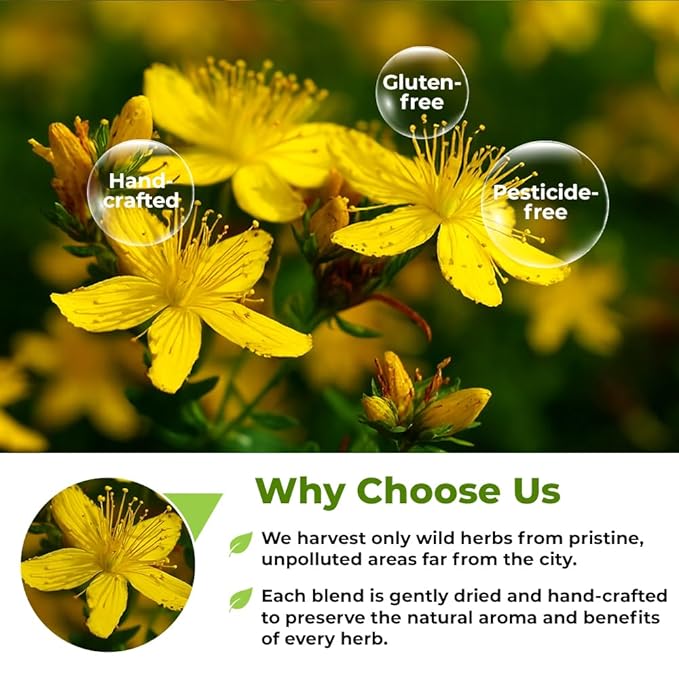4 oz. St Johns Wort Herb Herbal Tea (Hypericum) - 113g Hierba De San Juan Herb Tea