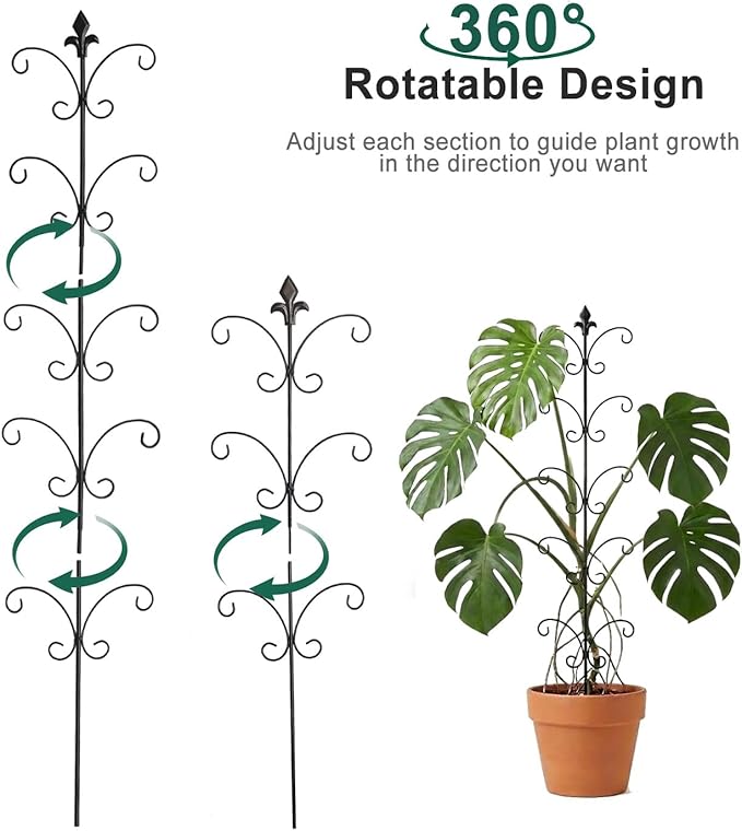 2 Pack Monstera Plant Support Stakes, 31.5 Inch and 46.5 Inch Metal Stake for Indoor Plants, Outdoor Climbing Plant Trellis for Monstera, Pothos, Black