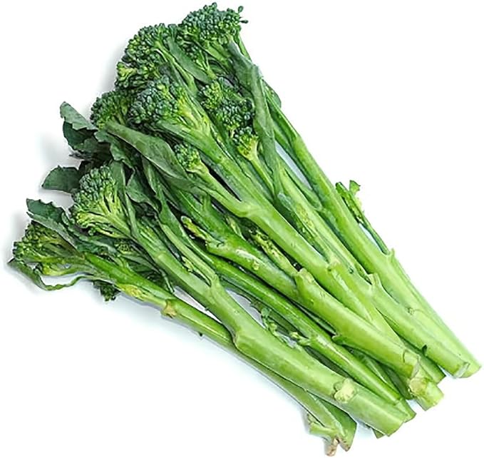 Spring Broccoli Rabe Seeds - Rapini and Brassica Rapa VAR Ruvo Seeds