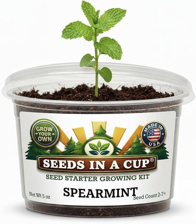 Seeds In A Cup Spearmint Grow Kit – Indoor Herb Garden Starter Set with Non‑GMO Spearmint Seeds, Soil & Cup – Easy Spring Planting Gift for Beginners, Kids & Home Kitchens