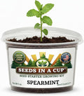 Seeds In A Cup Spearmint Grow Kit – Indoor Herb Garden Starter Set with Non‑GMO Spearmint Seeds, Soil & Cup – Easy Spring Planting Gift for Beginners, Kids & Home Kitchens