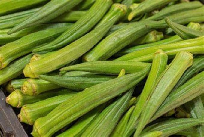 Perkins Long Pod Okra Seeds,50 Count "COOL BEANS N SPROUTS" Brand. Heirloom. Non-GMO. Home Gardening.