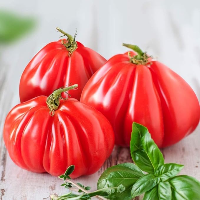 Vegetable Garden Seeds for Planting - Grow Heirloom Vegetables (Ruffled Tomato)