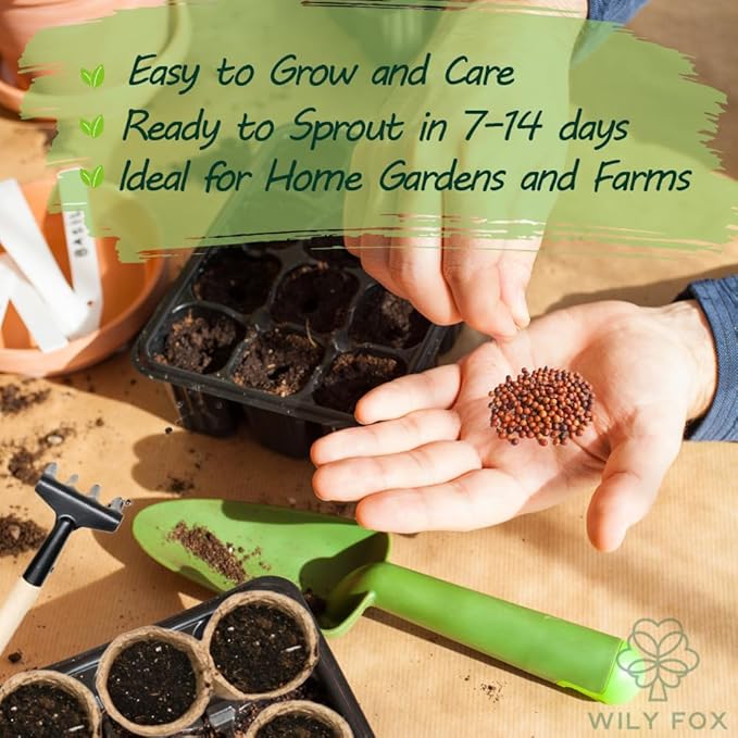 Winged Bean Seeds (Dragon Bean) – 50+ Non-GMO, High-Yielding Heirloom Seeds for Planting – Four-Angled Bean, Easy to Grow, Nutritious Vegetable