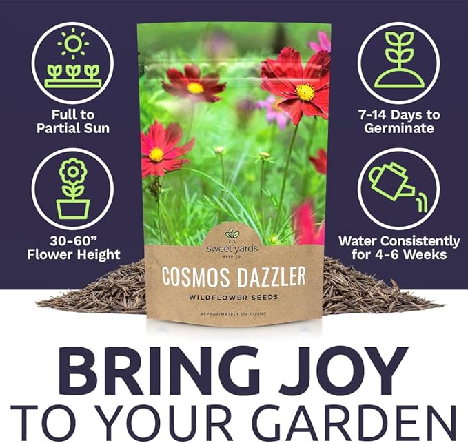 Dazzler Cosmos Wildflower Seeds - Bulk 1/4 Pound Bag - Over 20,000 Fresh Open Pollinated Non-GMO Flower Seeds - Stunning Bright Petals - Drought Tollerant