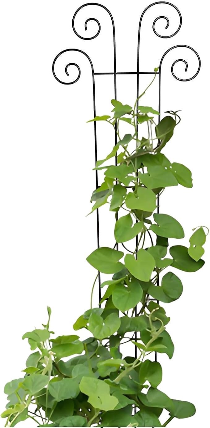 Hosley's 48 Inch High Set of 4 Wave Iron Trellis Ideal Gift for Floral Arrangements Wedding or Party and Use Next to Structures Home or Office or in Planters for Growing Plants Vines and Vegetables