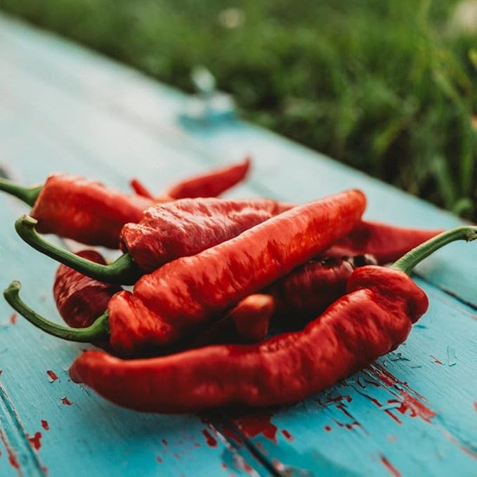 Jimmy Nardello Pepper - 25 Seeds - Popular Italian Frying Pepper, Sweet Red Variety, Non-GMO Sweet Italian Pepper Seeds for Planting in The Home Garden, Thresh Seed Company