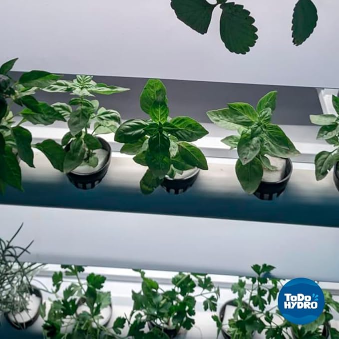 Grower Cloner DWC 8 Plant Hydroponic Starter & Cloning Kit with Aeration System