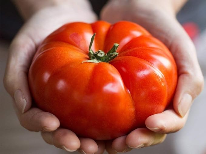 RAISE ME UP: Seeds Red Giant Beefsteak Tomato Indeterminate Non GMO Heirloom