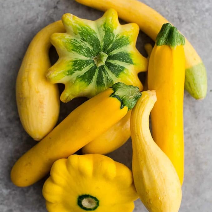 This is a Mix 50 Zucchini and Squash Mix Seeds 12 Varieties Non-GMO Delicious Grown in USA. Rare Super Profilic Cucurbita Pepo