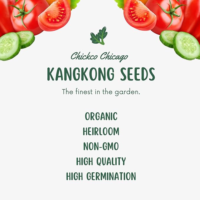 600+ Premium Kangkong Seeds - Ong Choy - Rau Muong - Kong Xin CAI Seeds | High 97% Germination | Non-GMO | Vegetable Seeds for Planting | Made in USA